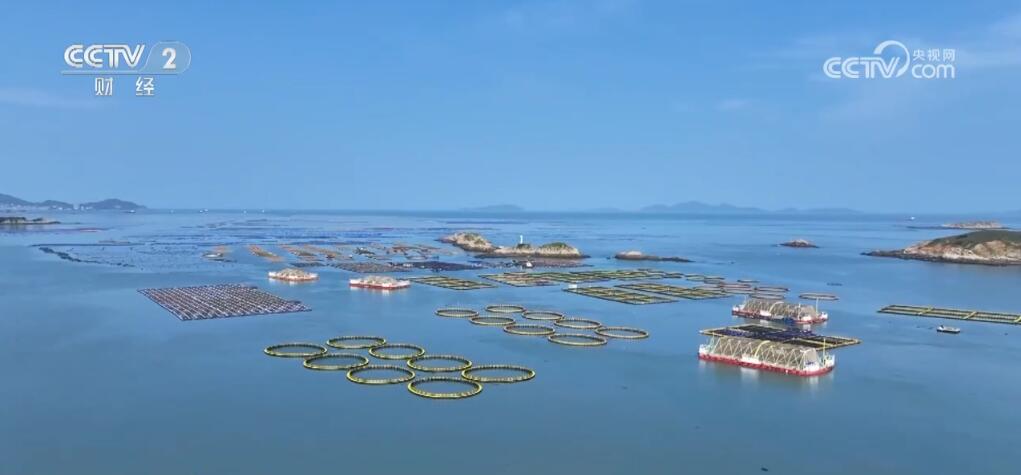 记者来到连江县定海湾海域,这里离岸边大约3公里,"定海湾2号"深远海